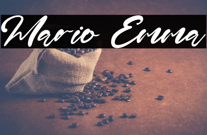 Mario Emma Example 1