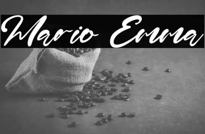 Mario Emma Example 1