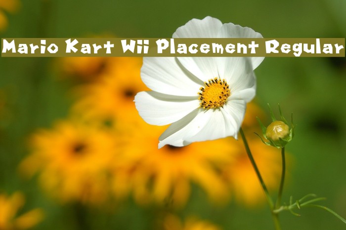 Mario Kart Wii Placement Regular Font examples