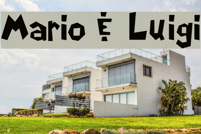 Mario & Luigi Example 2