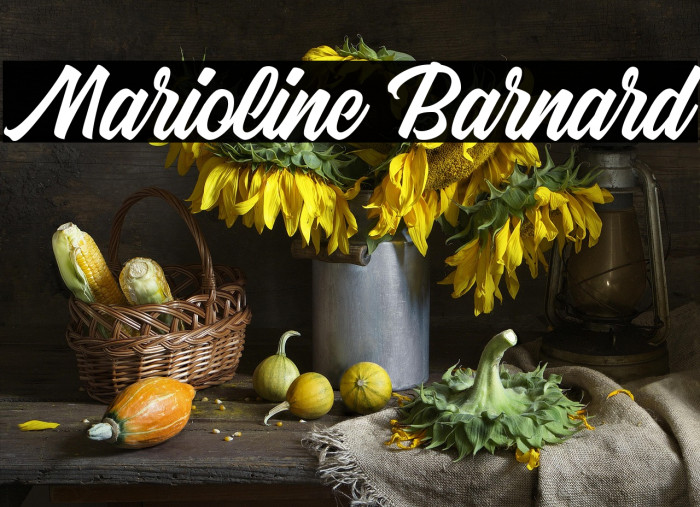 Marioline Barnard Example 1