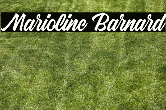 Marioline Barnard Example 2