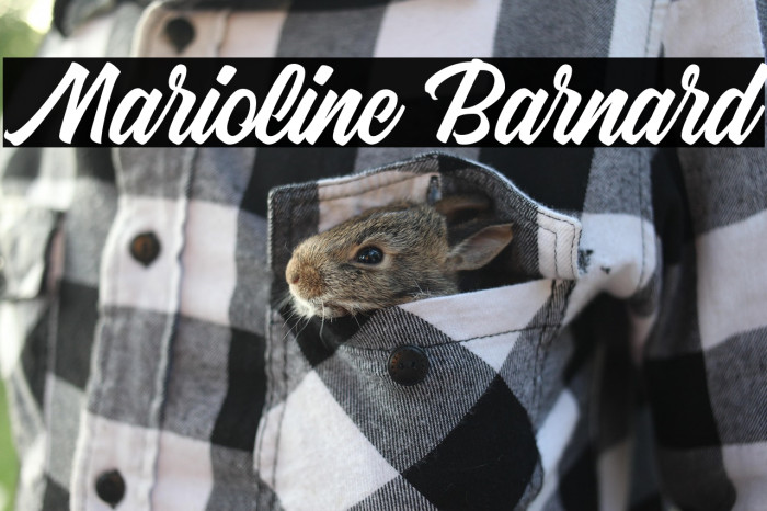 Marioline Barnard Example 3