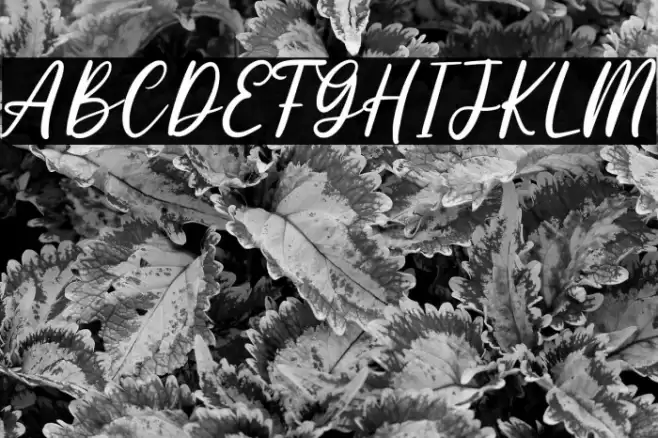 Mariolite Personal Use Font examples