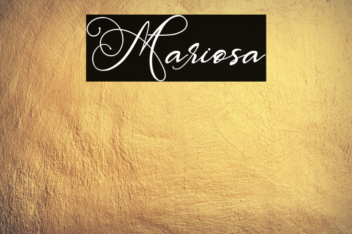 Mariosa Example 1