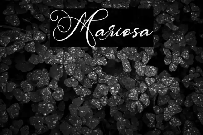 Mariosa Font examples
