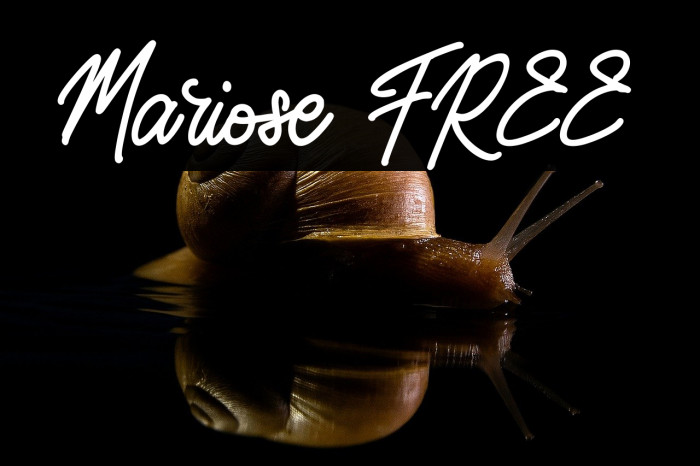 Mariose FREE Example 3