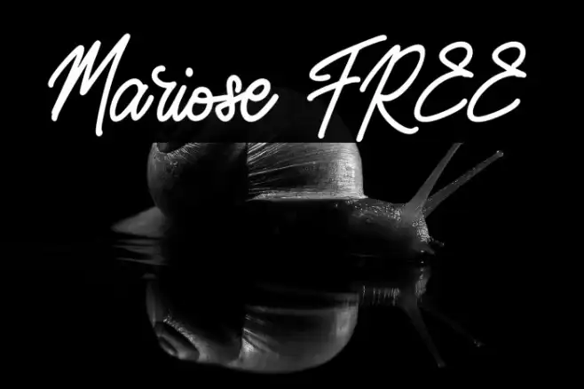 Mariose FREE Example 3