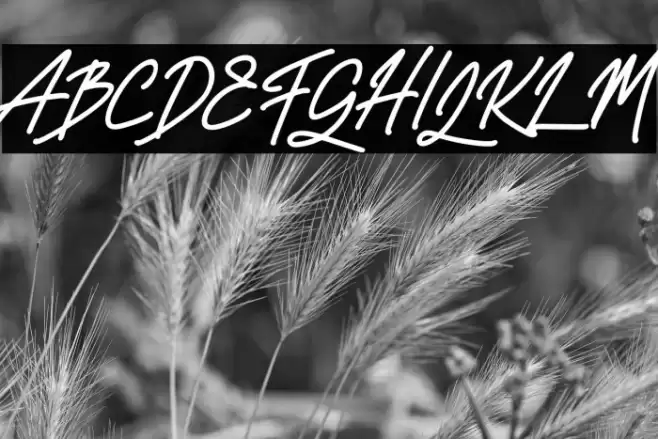 MarioseFREE Font examples