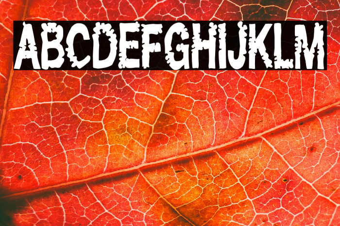 Maripeich el Último Example 2