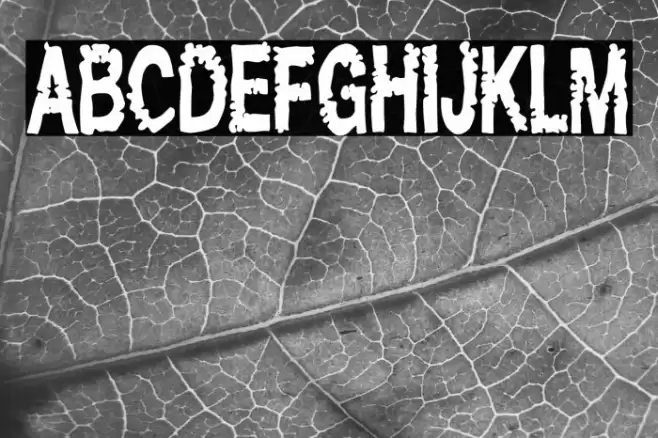 Maripeich el Último Шрифта examples