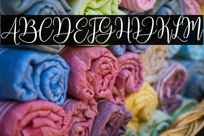 MariposaScriptDemo Example 1