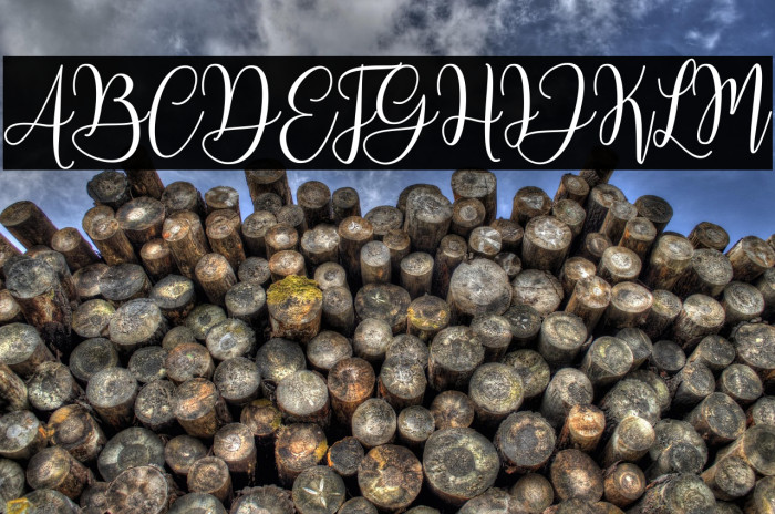 MariposaScriptDemo Example 2