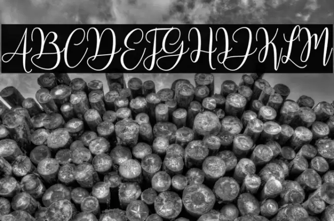 MariposaScriptDemo Font examples