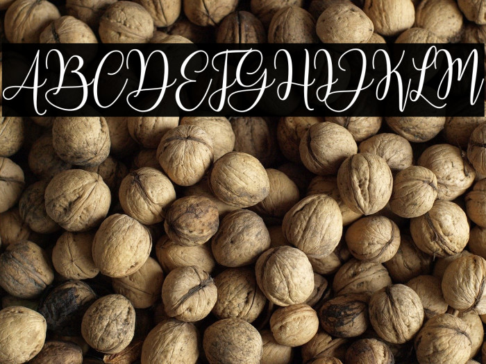 MariposaScriptDemo Example 3