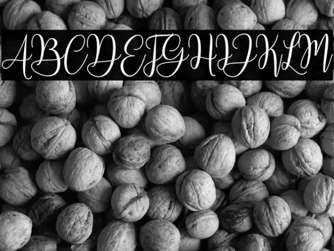 MariposaScriptDemo Font examples