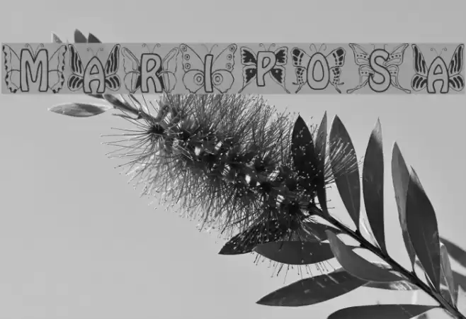 Mariposa Font examples