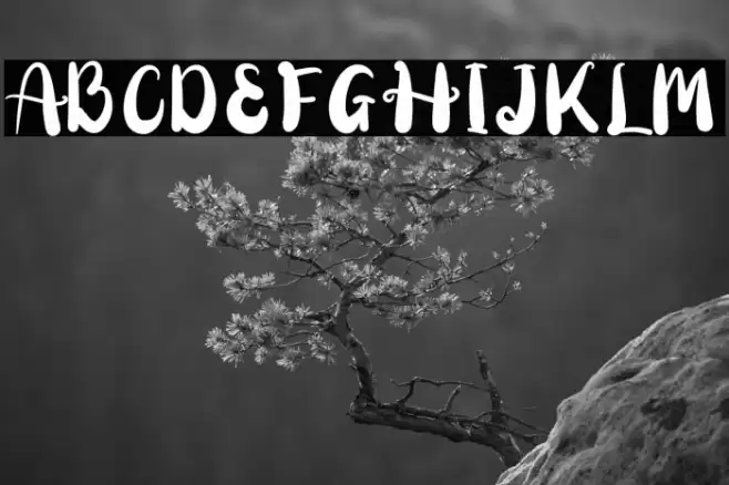 Mariposha Font examples