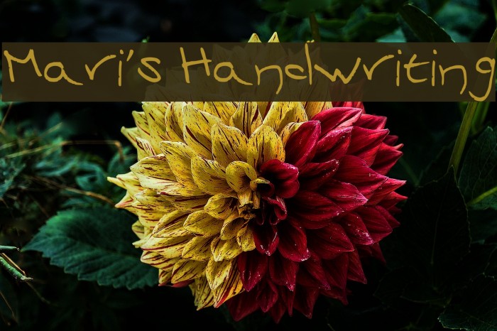 Mari's Handwriting Font examples