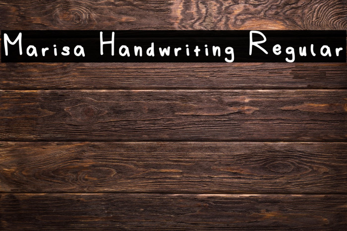 Marisa Handwriting Regular Example 1