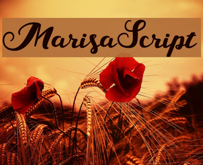 MarisaScript Font examples