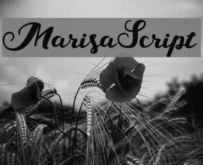 MarisaScript Example 3
