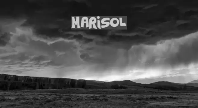 Marisol Font examples