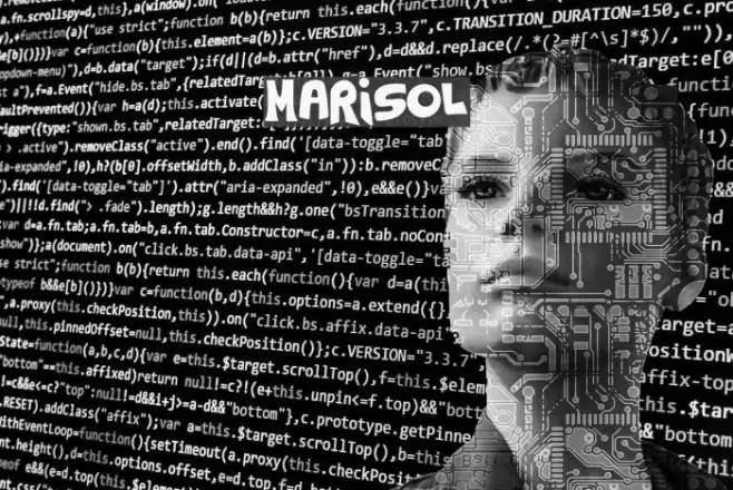 Marisol Font examples