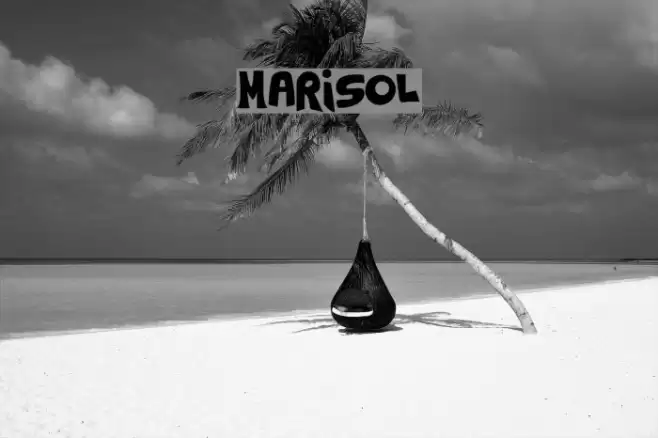 Marisol Font examples