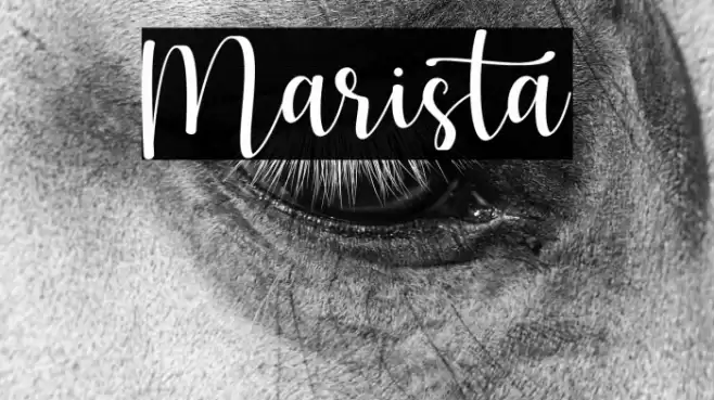 Marista Font examples
