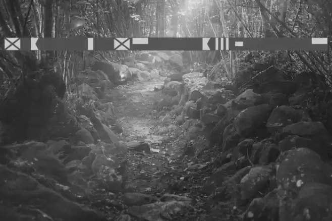 Maritime Flags Blue Font examples