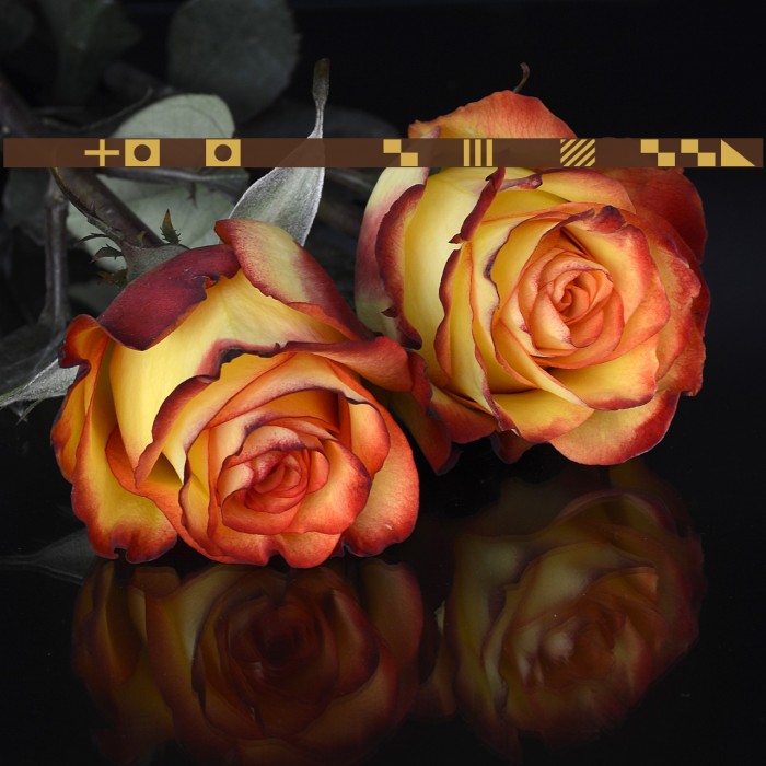 Maritime Flags Yellow Example 2