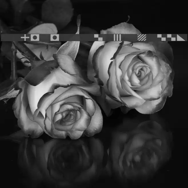 Maritime Flags Yellow Font examples