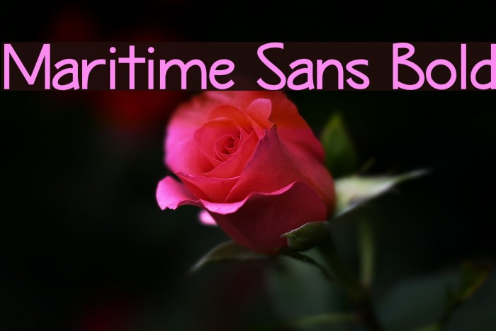 Maritime Sans Bold Font examples