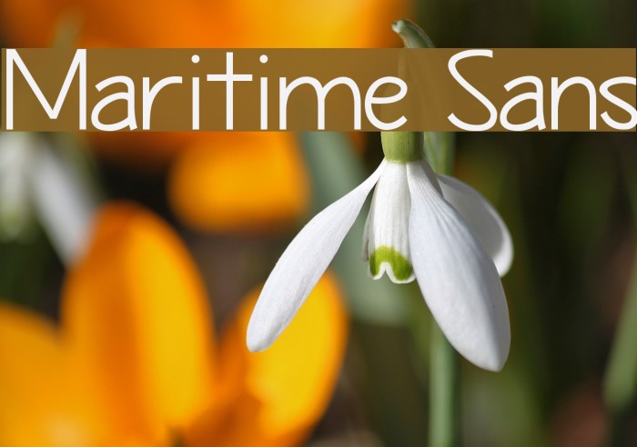 Maritime Sans Example 1
