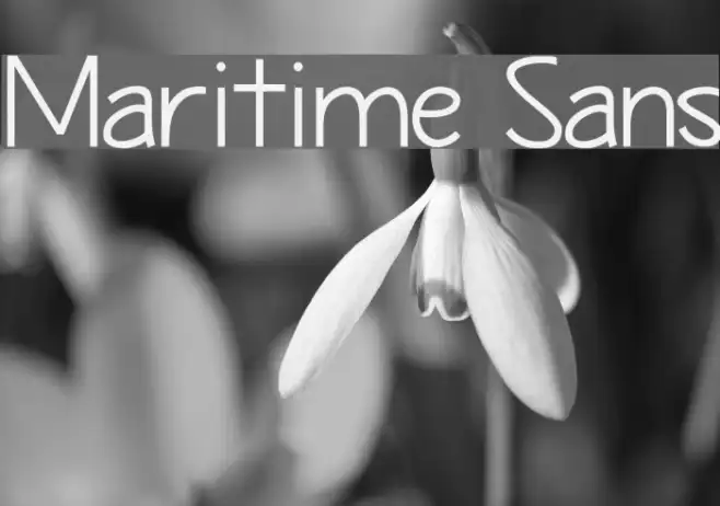 Maritime Sans Example 1