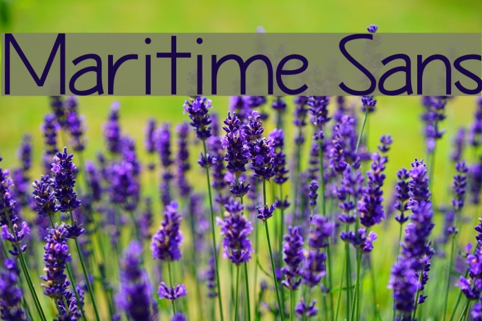 Maritime Sans Example 3