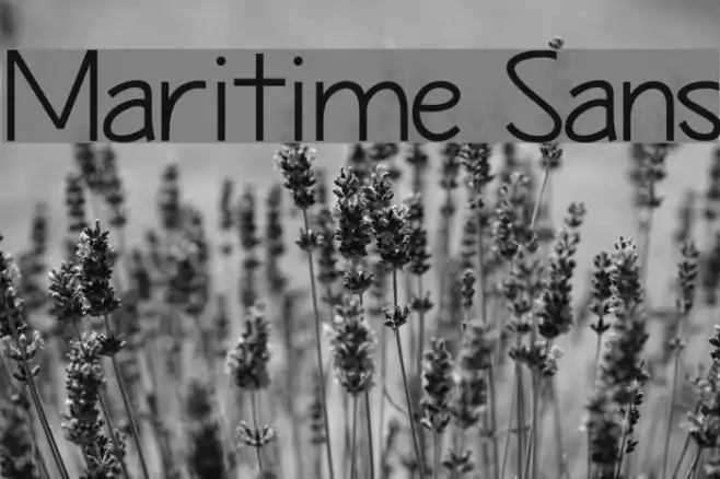 Maritime Sans Example 3
