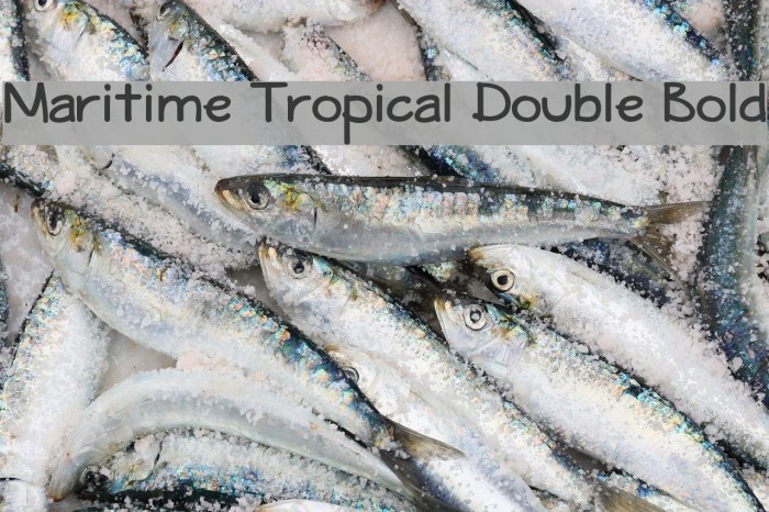 Maritime Tropical Double Bold Font examples