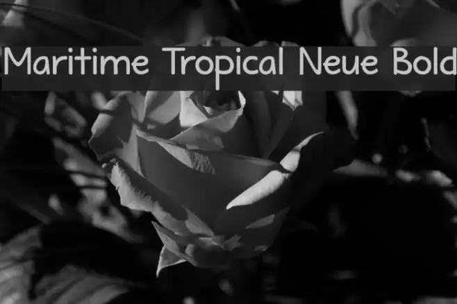 Maritime Tropical Neue Bold Example 3