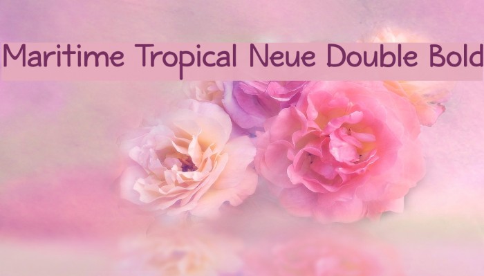 Maritime Tropical Neue Double Bold Font examples