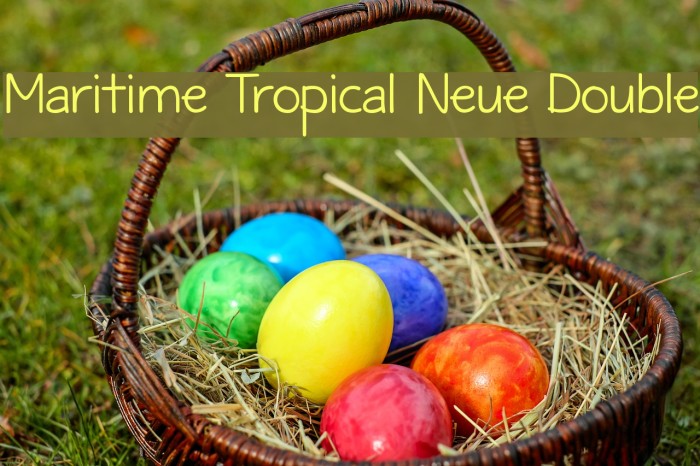 Maritime Tropical Neue Double Example 3