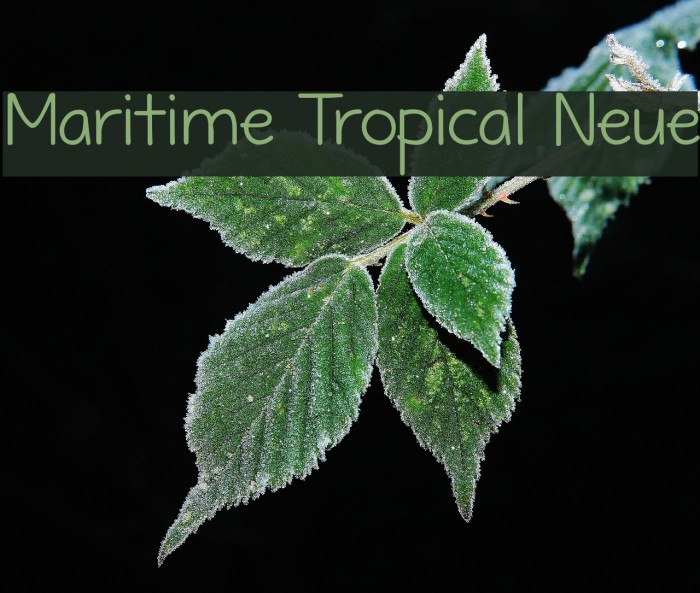 Maritime Tropical Neue Font examples