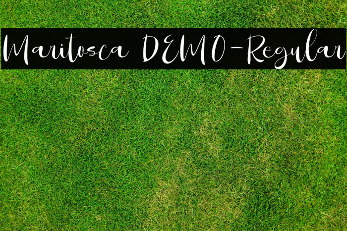 Maritosca DEMO-Regular Example 2