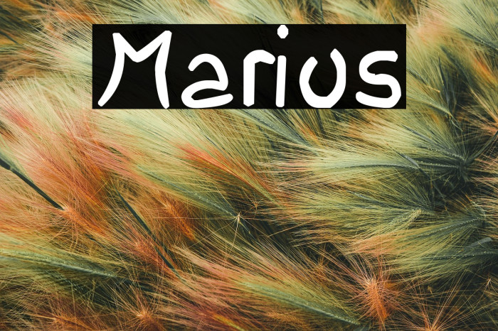 Marius Example 1