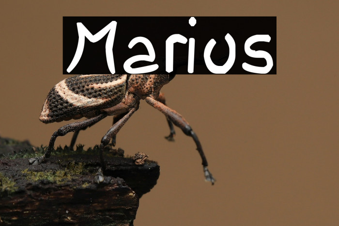 Marius Example 3