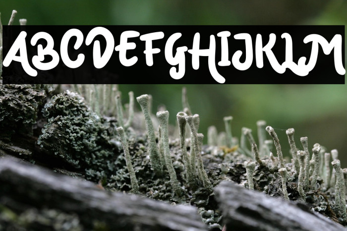 Mark Catynia Example 1