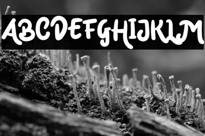 Mark Catynia Font examples