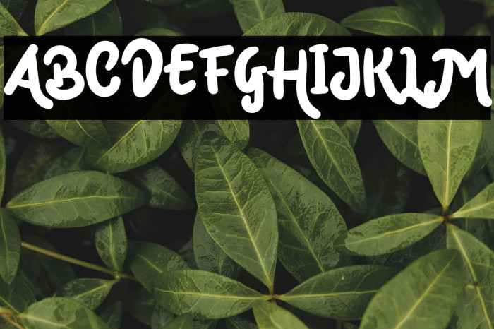 Mark Catynia Example 2