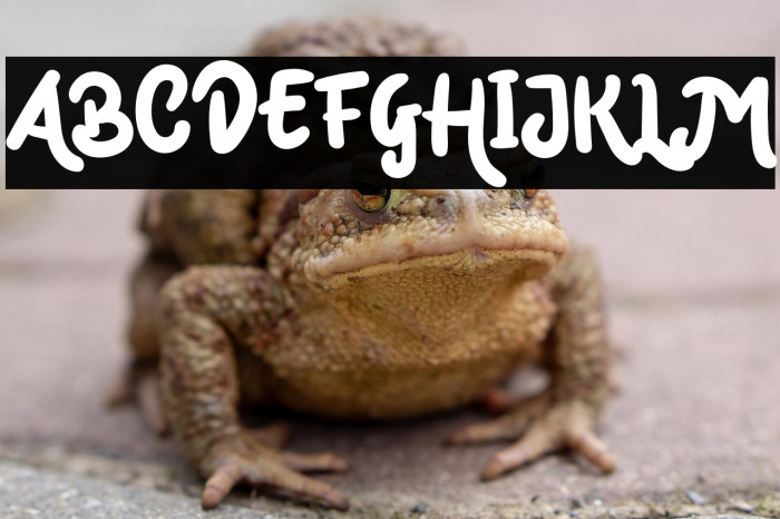 Mark Catynia Example 3